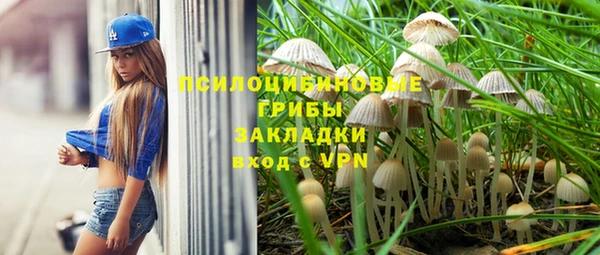 ALPHA-PVP Алексеевка